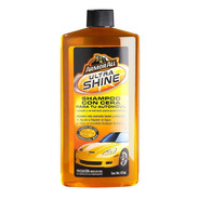 Shampoo para Autos desde