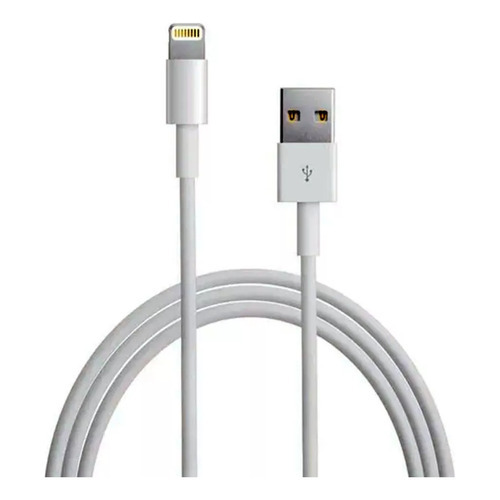 Cable Cargador 1m Para iPad Pro/air/mini iPhone 5/6/7/8/x/11 Color Blanco