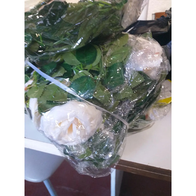 Foto del comprador