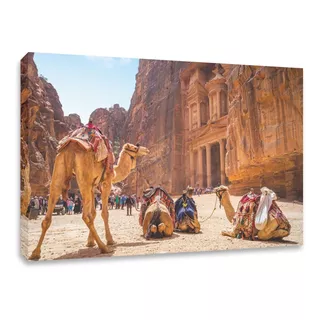 Cuadro Decorativo Canvas Camello Egipcio Templo 120x80