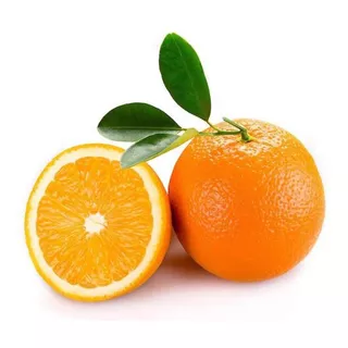 Muda De Laranja Lima Enxertada - Início De Produção !!!!!!!!