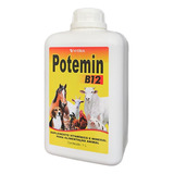 Potemin B12 - Frasco 30 Ml