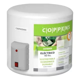 Termotanque Eléctrico Colgar Conexión Inferior Coppens 40 L Color Blanco