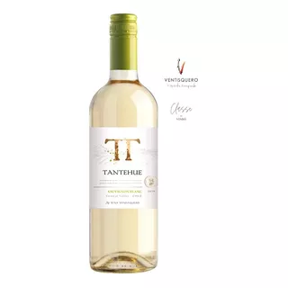 Vinho Branco Seco Sauvignon Blanc Ventisquero Tantehue 2021 Adega Viña 750 Ml
