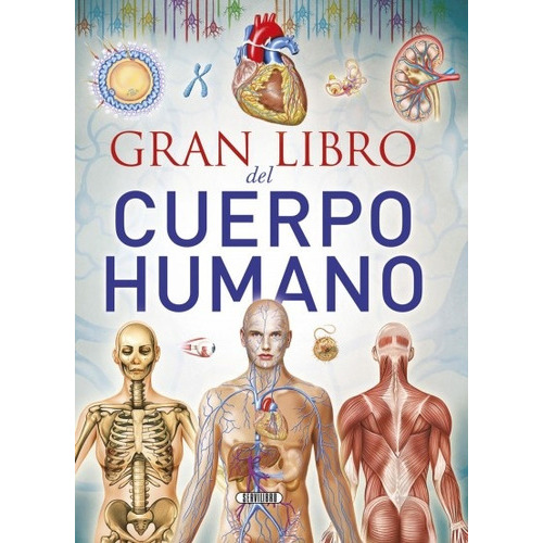 Gran Libro Del Cuerpo Humano, De Vários Autores. Editorial Servilibro, Tapa Blanda, Edición 1 En Español