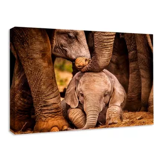 Cuadro Decorativo Canvas Familia De Elefantes 60x40