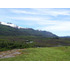 Sitio En Venta En Palena