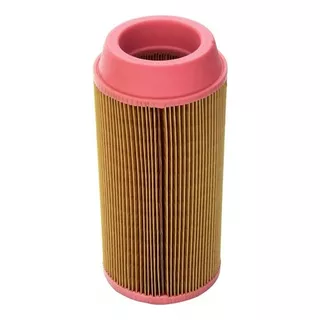 Filtro Aire C11100 Marca Mann