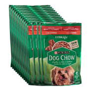 Combo 15 Sachês Dog Chow Adultos Raças Pequenas Carne 100g