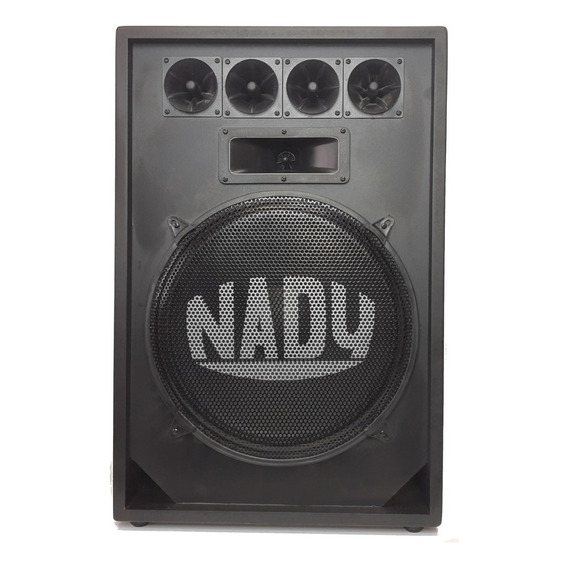 Bafle Pasivo Nady N-15 300w Rms 15 Pulgadas 5 Piezoelectrico Color Gris Oscuro