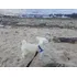 Perro Caniche Mini Toy P Cruzar C Perra, Excelente Compañero