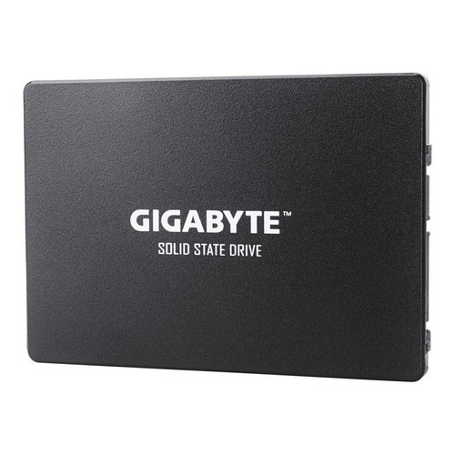 Disco sólido SSD interno Gigabyte GP-GSTFS31120GNTD 120GB negro