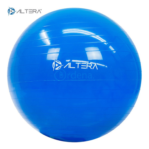 Pelota Entrenamiento Pilates Yoga Fintess De 65 Cm Con Bomba