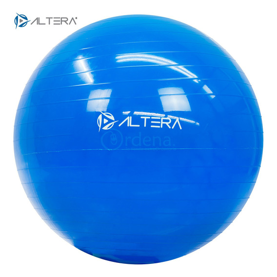 Pelota Entrenamiento Pilates Yoga Fintess De 65 Cm Con Bomba