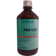 Shampoo Pro V B5 Phantenol 500ml