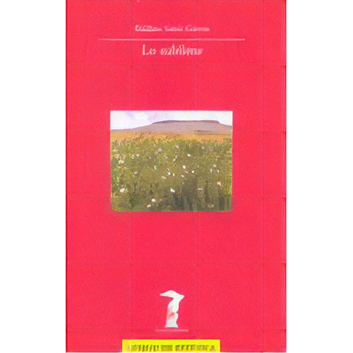 Lo Sublime, De Saint Girons, Baldine. Editorial A. Machado Libros S. A., Tapa Blanda En Español