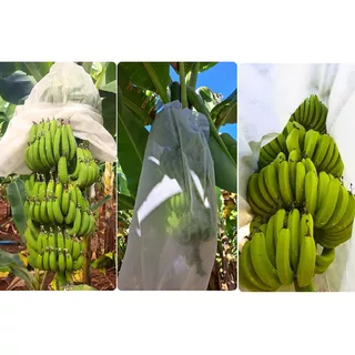 Sacos Tnt P/ Proteção Cacho De Banana 1,50 X 0,80 Cm 100un