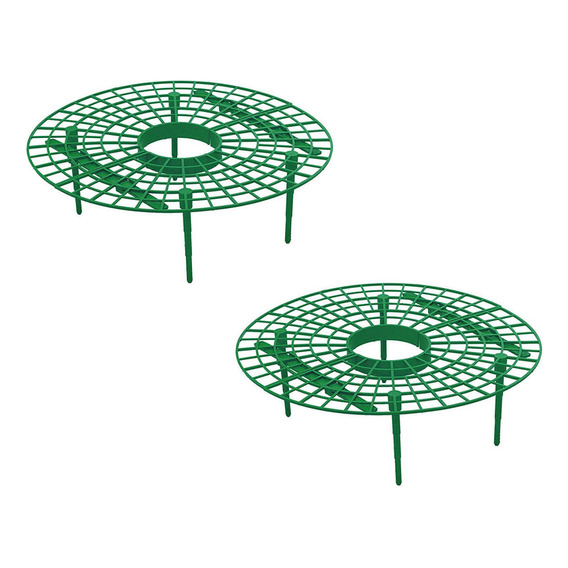 Los Soportes De Cultivo De Plantas De Fresa V Mantienen Las