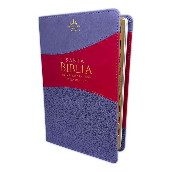 Biblia Rvr 1960 Letra Grande Tamaño Manual Símil Piel