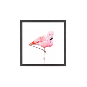 flamingo passaro casa móveis e decoração no mercado livre brasil
