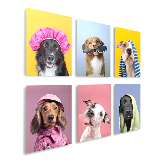 Set  De 6  Cuadros   Pet Shop Veterinaria Mascotas Perros