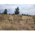 Inversión Segura Parcela 5042 M2 Con Vistas Y Pozo Propio