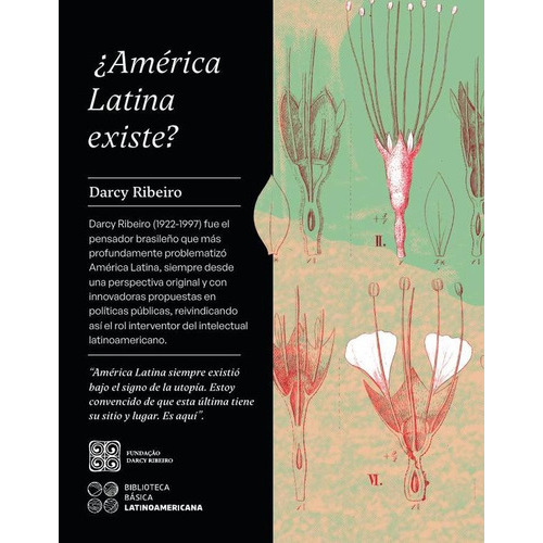 América Latina Existe?, De Ribeiro, Darcy., Vol. Volumen Unico. Editorial Tucán Ediciones, Tapa Blanda, Edición 1 En Español