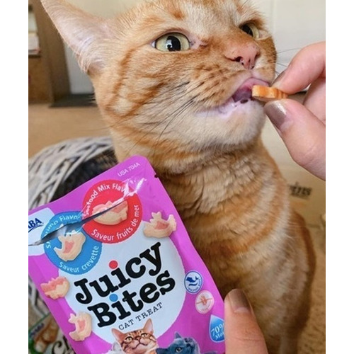 Snack Premio Golosina Suplemento Para Gato Cat Juicy Bites