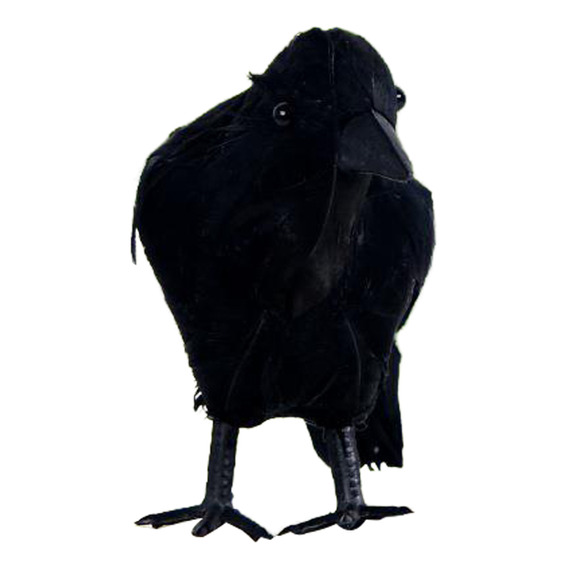 Adorno Rural Con Diseño De Cuervo Negro