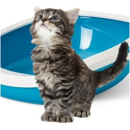 Litera Bandeja Sanitaria Baño Para Gatos Savic Gizmo Azul Color Azul