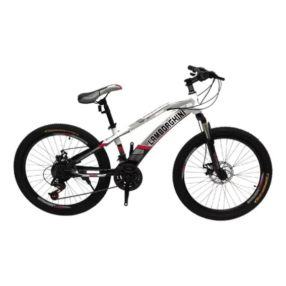 Bicicleta Mountain Bike Rodado 20 Lamborghini 21 Cambios Lh