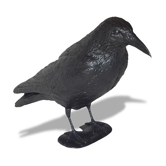 Cuervo Raven Ahuyenta Espanta Palomas Plástico Reforzado