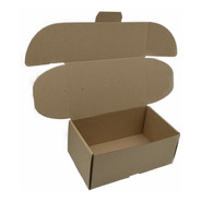 Caja Empaque Envíos Carton Microcorrugado 25x15x10cm, 100pzs