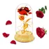 Rosa Roja Eterna Amor Por Siempre Flor + Luz Led + Domo Usb.