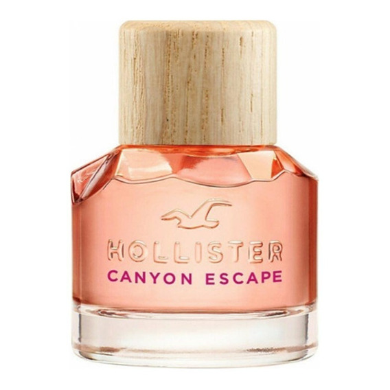 Perfume Hollister Canyon Escape Her Edp 100ml