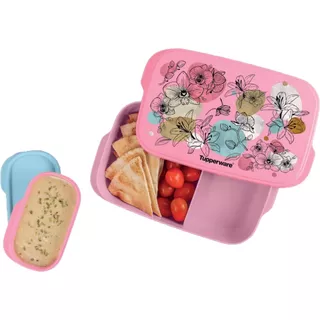 Tupperware - Pote Marmita Basic Line 550ml Com Divisórias 