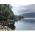 Paraíso En Isla Llancahue, Hualaihue Patagonia Chilena