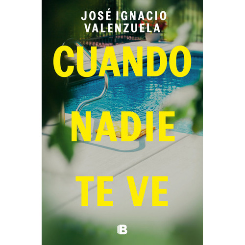 Cuando Nadie Te Ve, De Jose Ignacio Valenzuela. Editorial B, Editorial, Tapa Blanda En Español