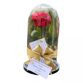 Regalo San Valentín Rosa Eterna