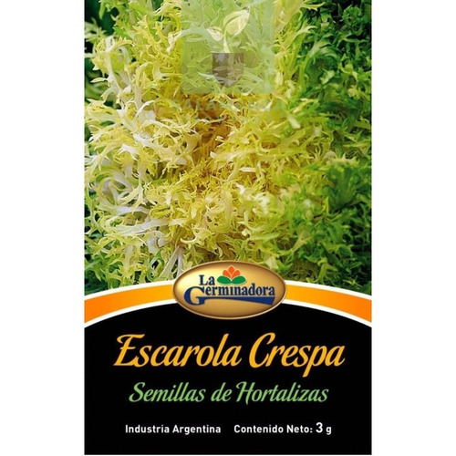 Semillas De Escarola Crespa 3g La Germinadora Salamanca 