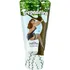Gel Excitante para Dama Trepadora Aumenta Libido - 24h Sabor Sin Sabor