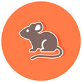 PEQUEÑAS ESPECIES