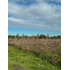 Parcela De 5000m2 En Portal Quillon  (175523)