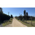 Parcelas Desde 5000 M², Rol Propio, A 12 Km De Melipilla