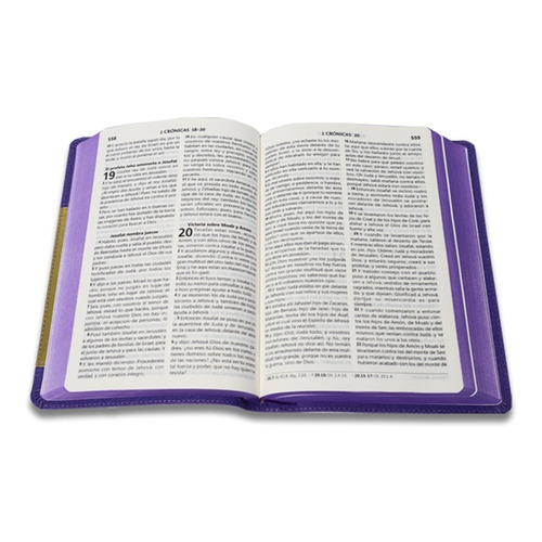 Biblia Reina Valera 1960 Letra Grande Purpura Con Relieve
