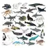 32 Piezas: Animal Polar Salvaje Del Ártico, Oso Y Ballena
