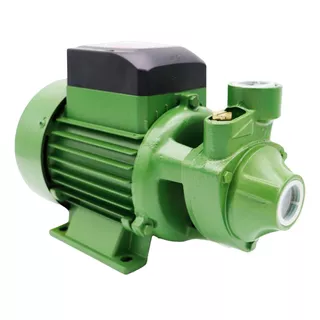 Bomba Schneider Periférica Pg-05 1/2cv P/ Altura Máxima 24m Cor Verde Fase Elétrica Monofásica Frequência 60hz 110v