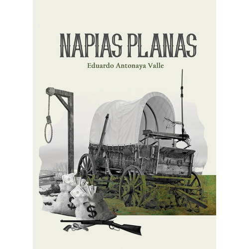 Napias Planas, De Antonaya Valle, Eduardo. Editorial Edicion Punto Didot, Tapa Blanda En Español