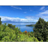 Precioso Terreno Compactado En Fundo La Trafa - Lago Ranco