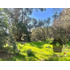 Lo Castro, Quebrada De Alvarado, Olmue. 5.000m2